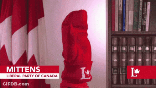 Red Mitten With Letter L In Front Of Bookshelf GIF