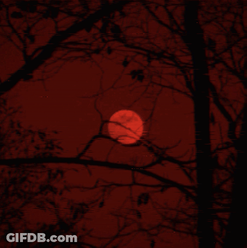 Red Moon Through Tree Branches GIF