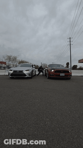 Red Mustang And White Lexus Parked Next To Each Other GIF