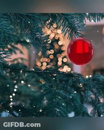 Red Ornament On Christmas Tree GIF