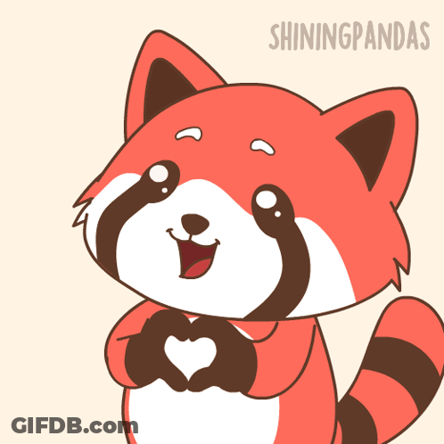 Red Panda Making Heart Shape With Hands GIF