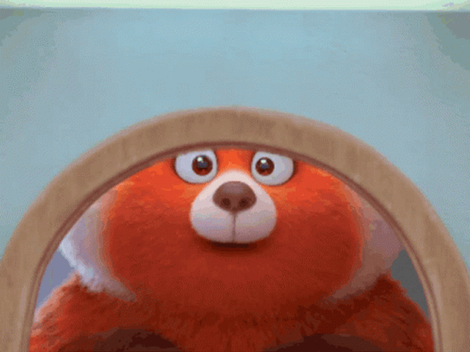 Red Panda Mein In Turning Red GIF