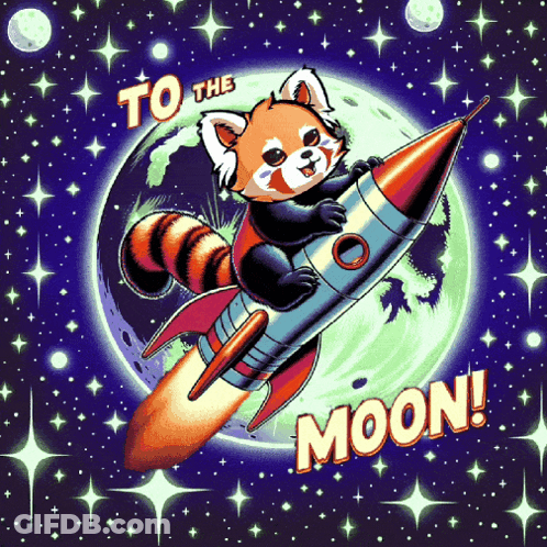 Red Panda Riding Rocket To The Moon GIF