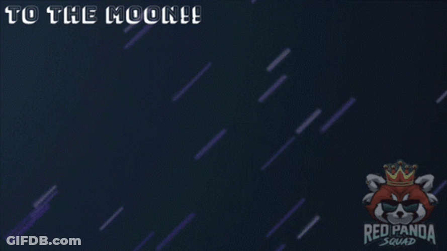 Red Panda Squad Rocket Launch GIF