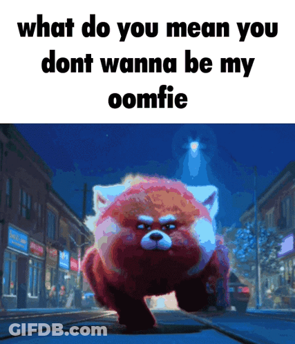 Red Panda What Do You Mean You Dont Wanna Be My Comfie GIF