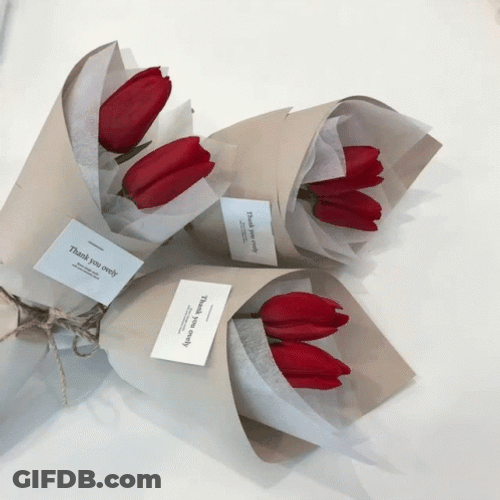 Red Photos Aesthetic GIF