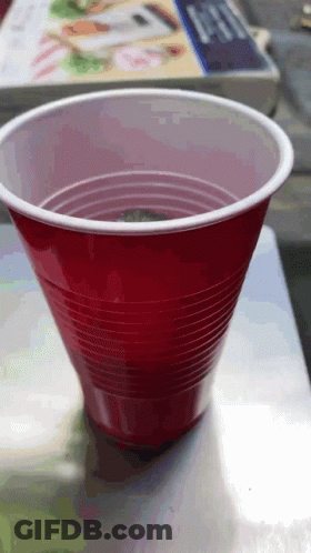 Red Plastic Cup With White Rim GIF