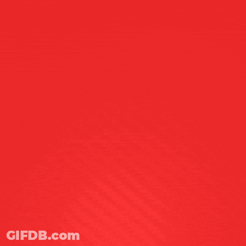 Red Pocket Mobile Ad With Rocket GIF
