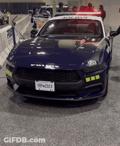 Red Pony Saying How About Shut The Fuck Up GIF