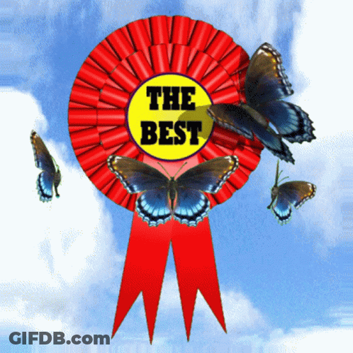 Red Ribbon Saying The Best GIF