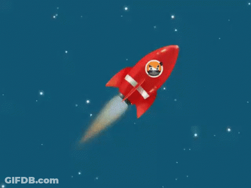 Red Rocket Flying Through Space With Dog GIF