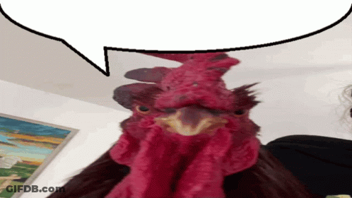 Red Rooster With Speech Bubble GIF