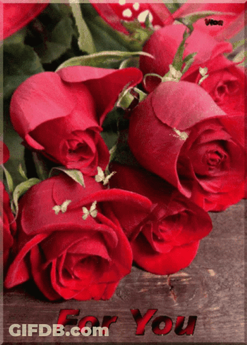 Red Rosas For You GIF