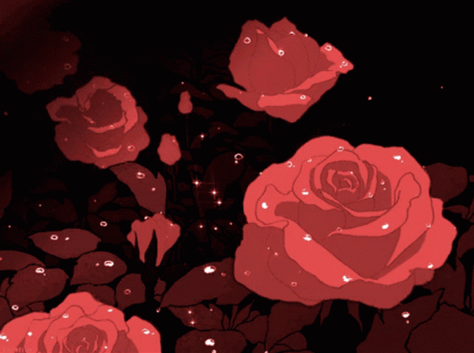 Red Rose Aesthetic GIF
