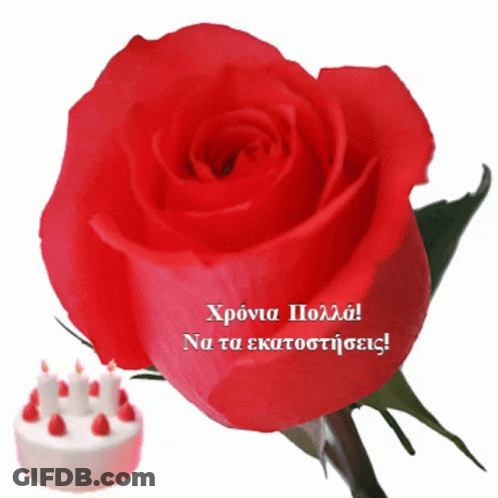 Red Rose And Cake With Candles GIF