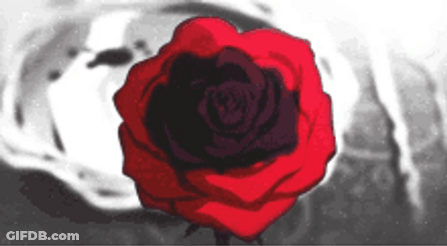 Red Rose Blood Anime Death Flower GIF