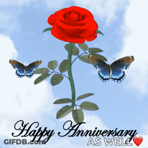 Red Rose Blue Butterflies Happy Anniversary GIF