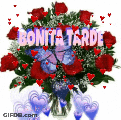 Red Rose Bouquet In Vase Bonita Tarde GIF