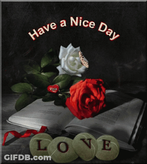 Red Rose Butterfly Have A Good Day Love GIF