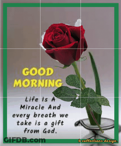 Red Rose Good Morning GIF