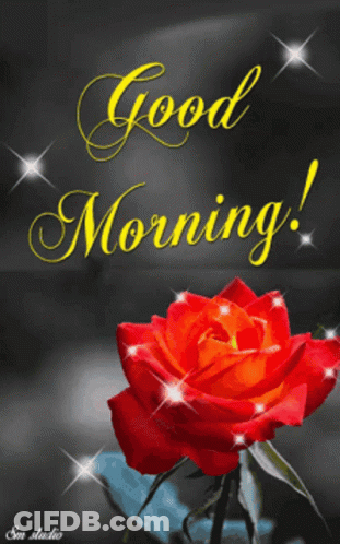 Red Rose Good Morning GIF