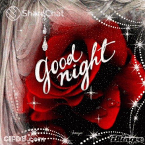 Red Rose Good Night GIF