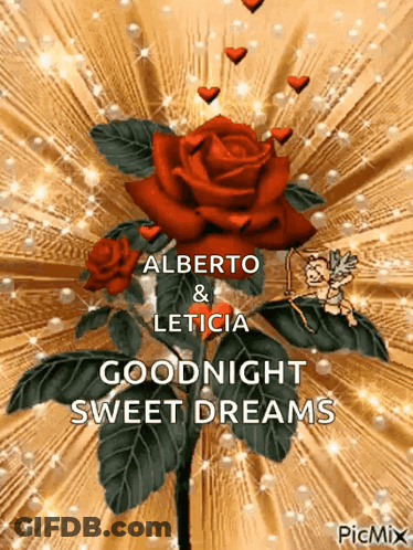 Red Rose Goodnight Sweet Dreams GIF