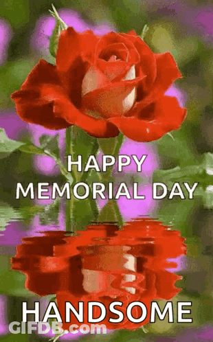 Red Rose Happy Memorial Day Handsome GIF