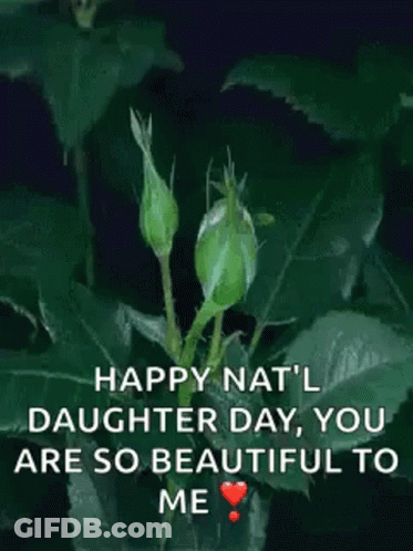Red Rose Happy Nat'l Daughter Day You Are So Beautiful To Me GIF