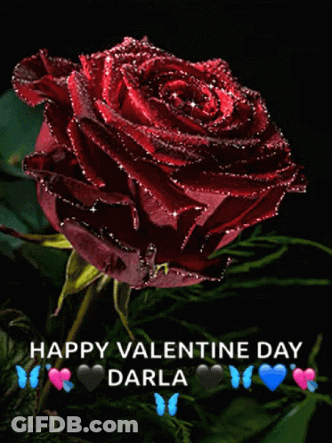 Red Rose Happy Valentine Day Darla GIF
