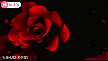 Red Rose Have A Happy Afternoon GIF