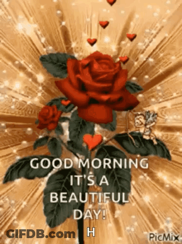 Red Rose Hearts Good Morning It's A Beautiful Day! GIF