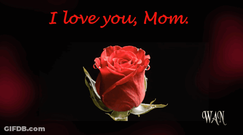 Red Rose I Love You Mom GIF