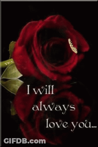 Red Rose I Will Always Love You GIF