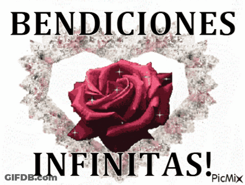 Red Rose In Heart With Bendiciones Infinitas GIF