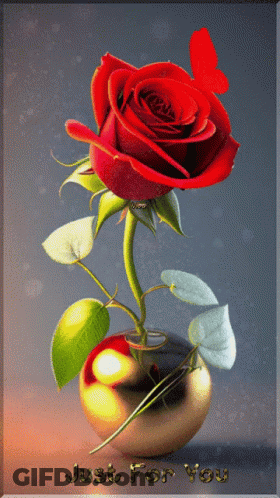 Red Rose In Vase Saying Just For You GIF