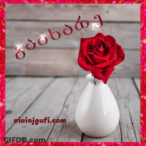 Red Rose In White Vase GIF