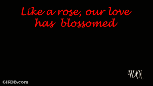 Red Rose Like A Rose Our Love Has Blossomed GIF