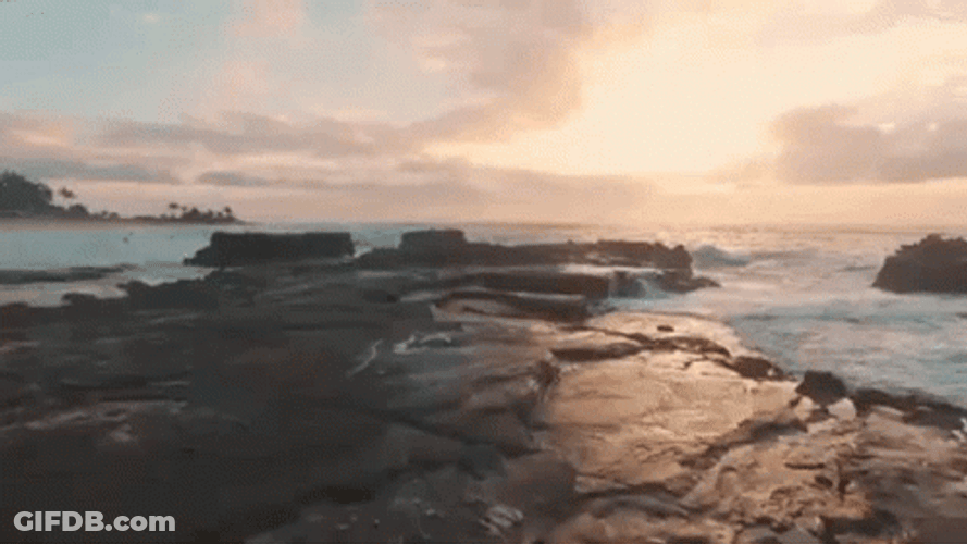 Red Rose Of Dawn GIF