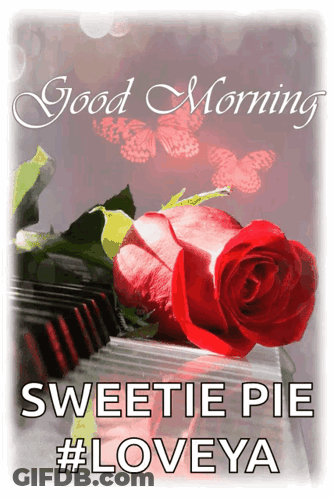 Red Rose On Piano Keyboard Good Morning Sweetie Pie Loveya GIF