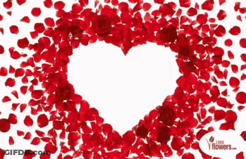 Red Rose Petal Heart With 1000 Flowers.com GIF