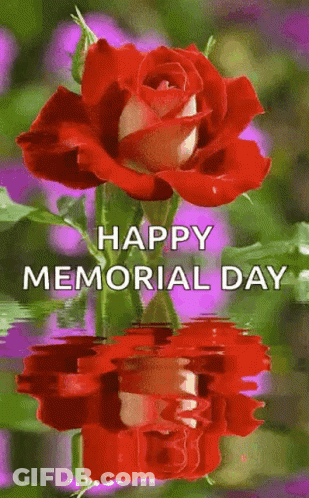 Red Rose Reflected In Water Happy Memorial Day GIF