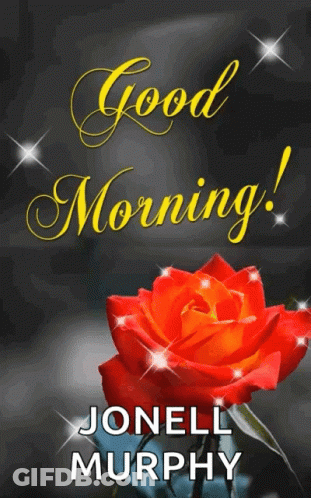Red Rose Saying Good Morning Jonell Murphy GIF