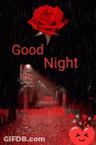 Red Rose Saying Good Night GIF