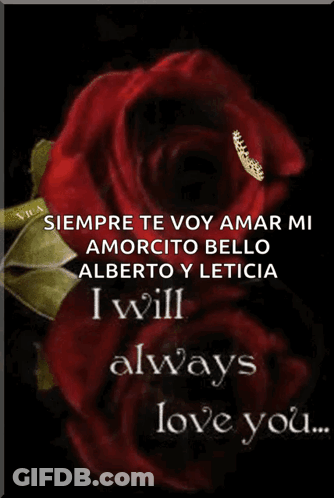 Red Rose Siempre Te Voy Amar Alberto Y Leticia GIF