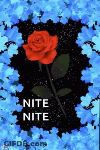 Red Rose Surrounded By Blue Flowers GIF