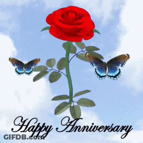 Red Rose Surrounded By Butterflies Saying Happy Anniversary GIF
