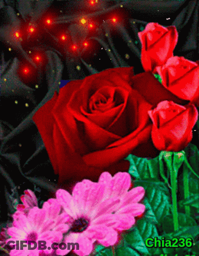 Red Rose Surrounded By Pink Flowers Chia236 GIF