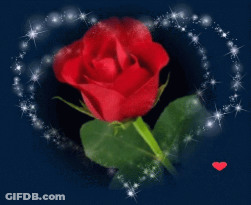 Red Rose Surrounded By Sparkles And Small Red Heart GIF