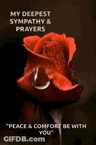 Red Rose Water Drop My Deepest Sympathy And Prayers GIF